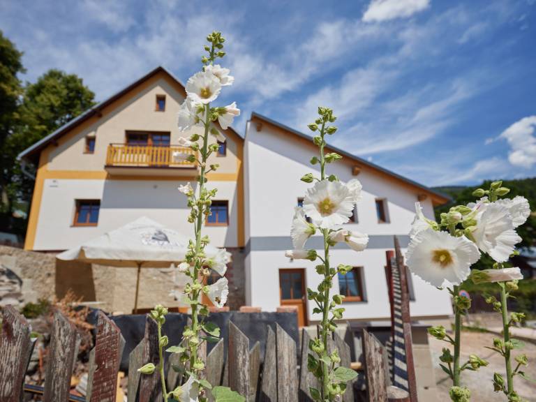 Ferienhaus  Schwarzenthal