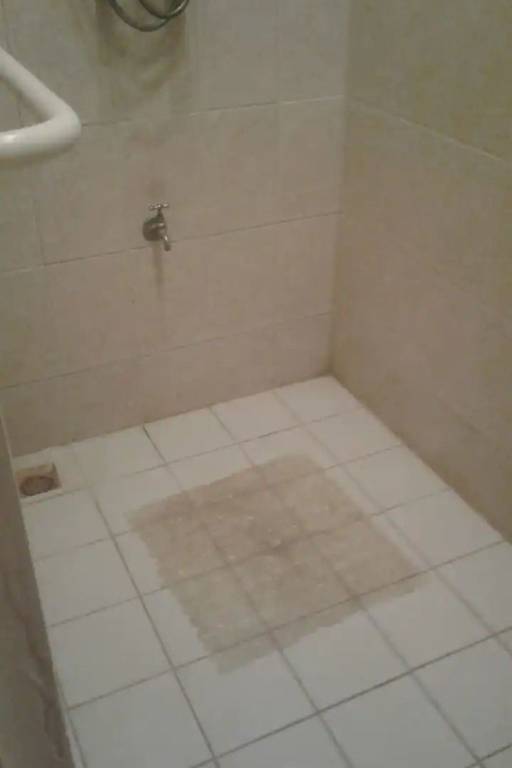 foto8