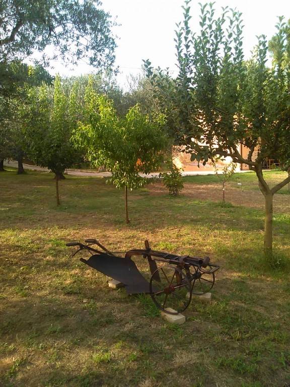 foto17