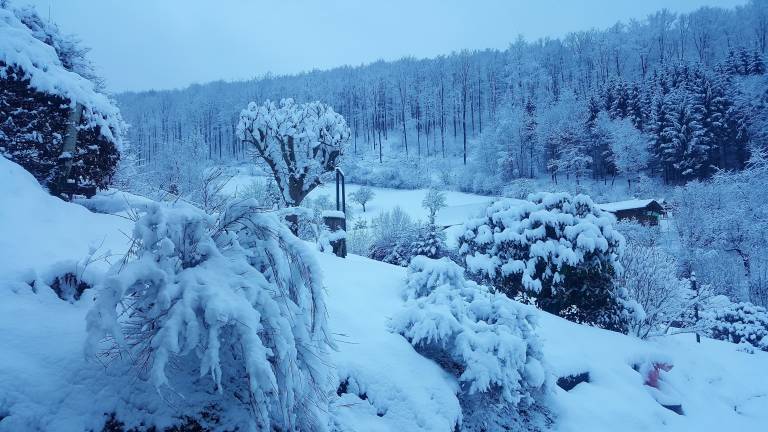 foto9