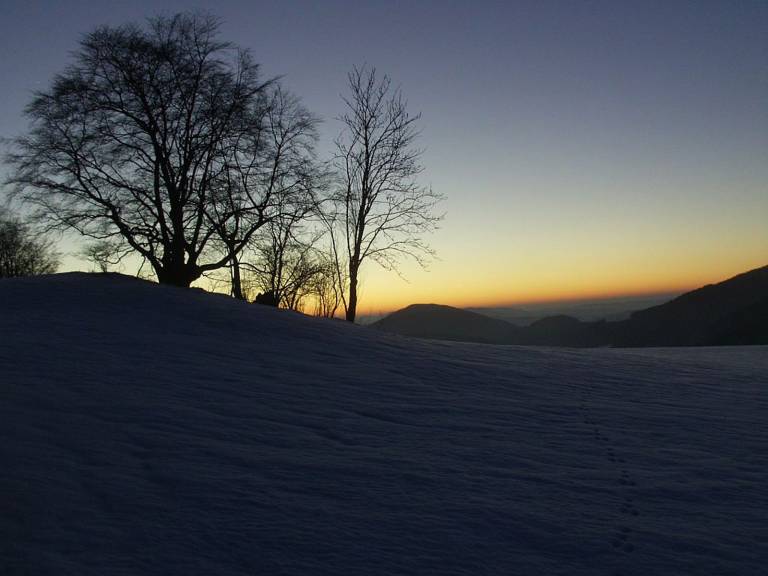foto38