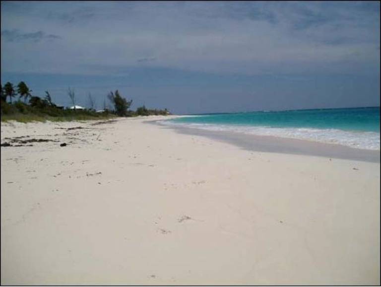 foto16