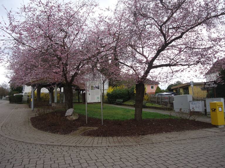 Ferienwohnung  Ladenburg