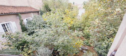 Appartement Bourg-en-Bresse