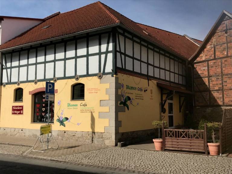 foto11