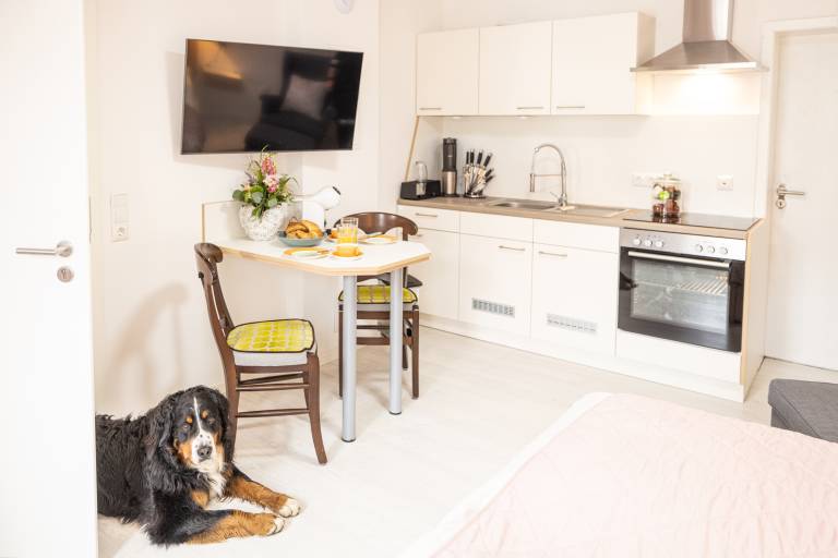 Holiday apartment with fast internet | Good for workation | Pets are welcome — photo 4