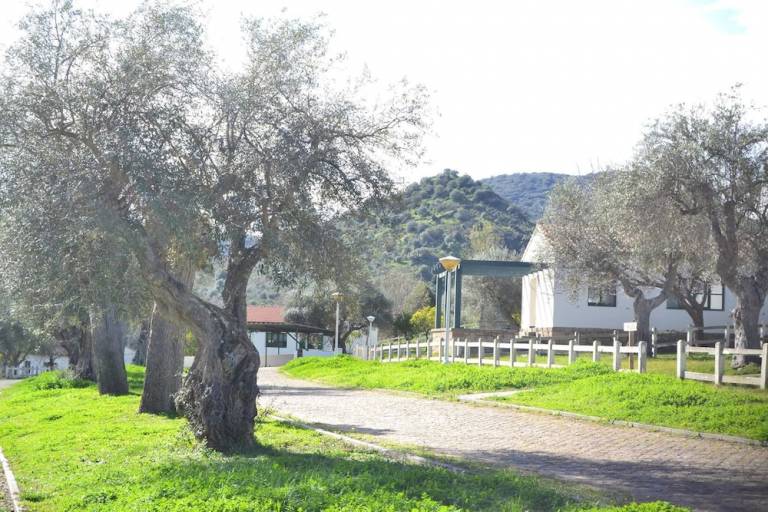 Casa Salto de Saucelle