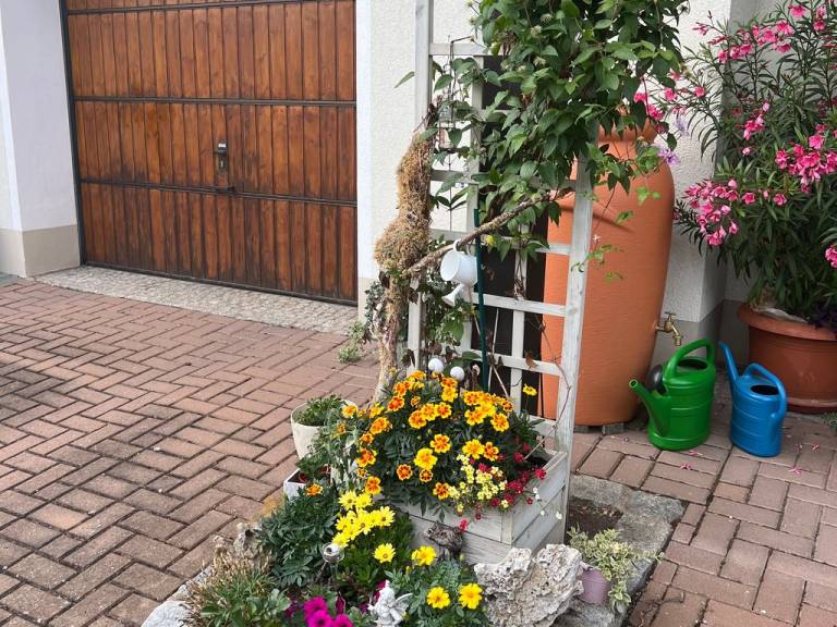foto29