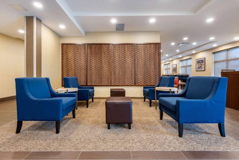 Comfort Inn & Suites — photo 3