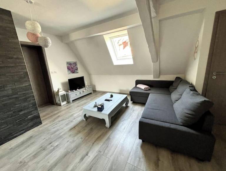 Appartement Kintzheim