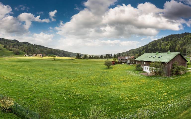 foto2