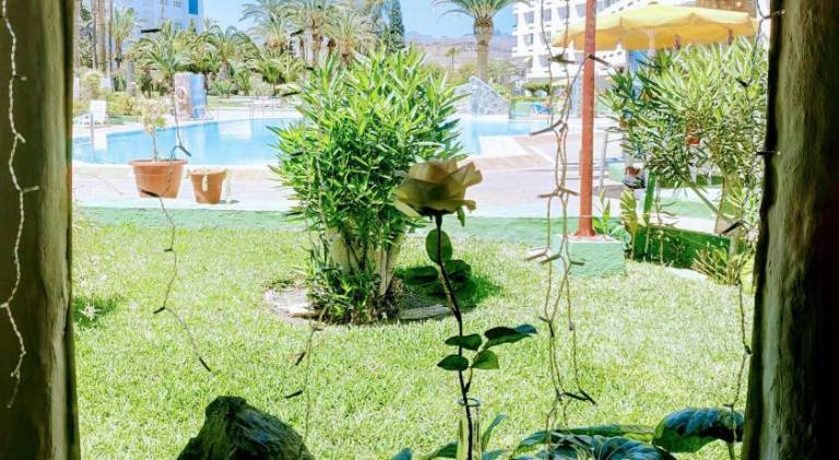 Holiday apartment with garden, terrace & private pool | Pet-friendly — photo 3
