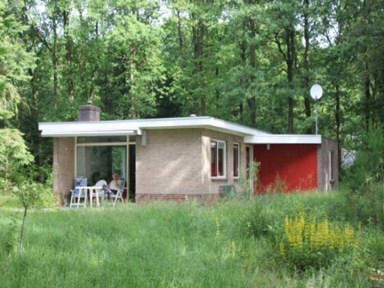DG011 Ferienhaus im Zorgvlied
