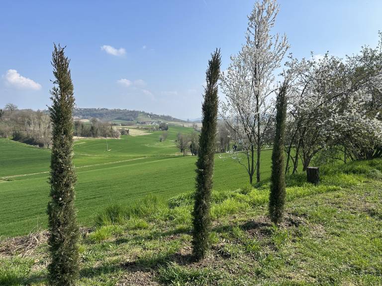 foto10
