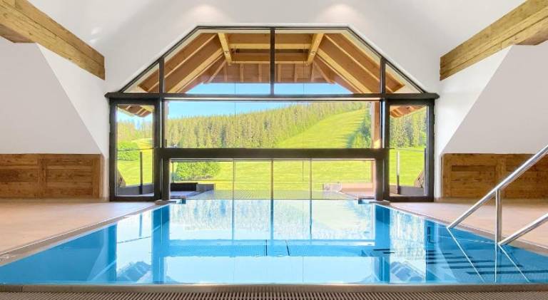 SCHWARZENBACH - Apartments & Rooftop Pool in Feldberg