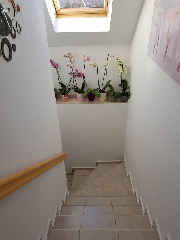 foto27