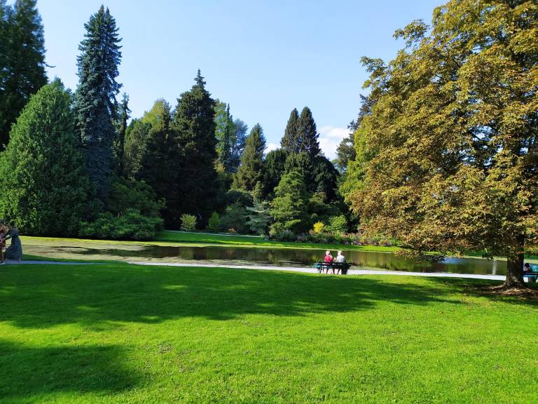 foto11