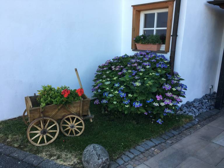 foto17