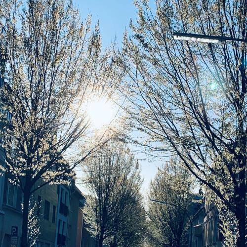 foto14