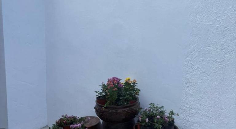 foto31