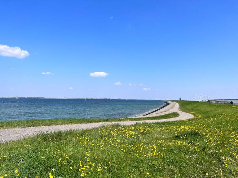 foto43