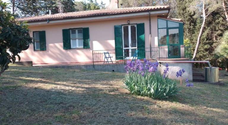 Beautiful apartment | Pets are welcome in Rosignano Marittimo