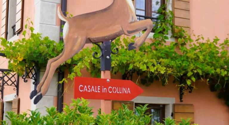Pleasant house with pool | Pets are welcome in Capriva del Friuli
