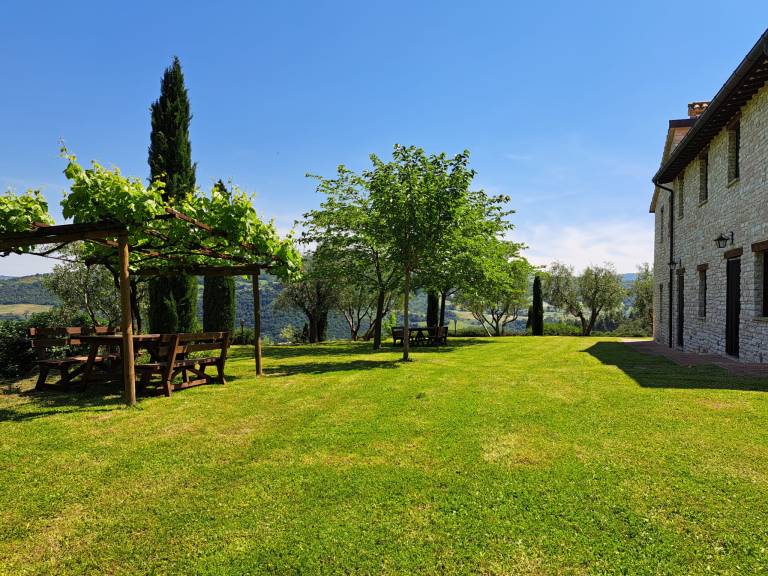 La Collina degli Olivi: Camera CAMELIA — photo 3