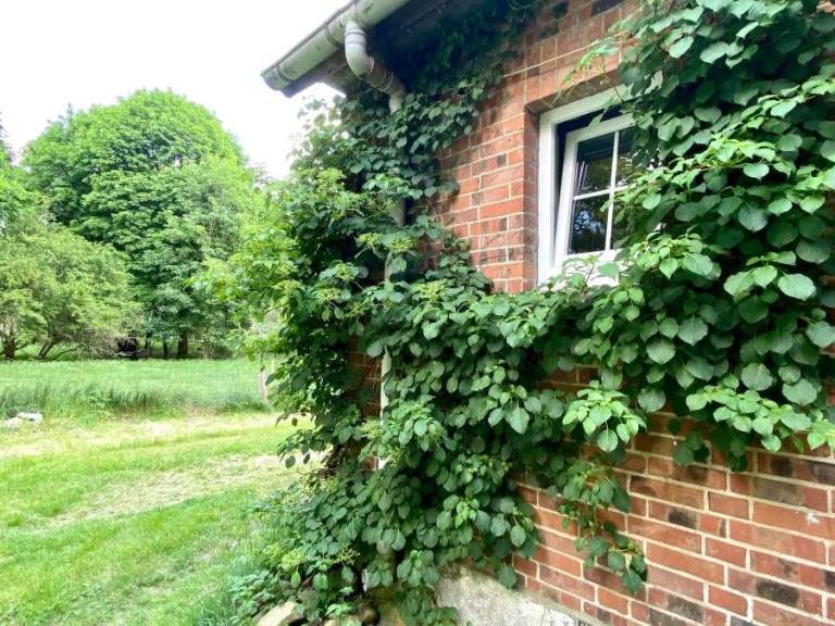 House with terrace, garden & barbeque — photo 5