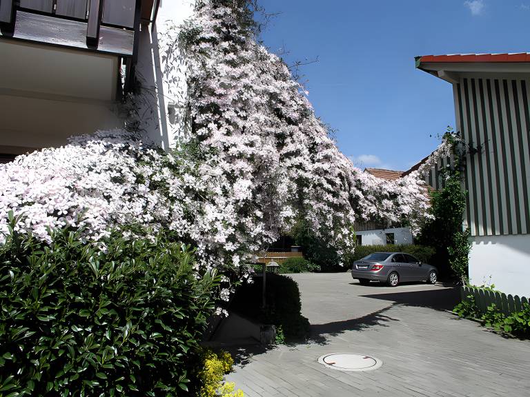 foto14
