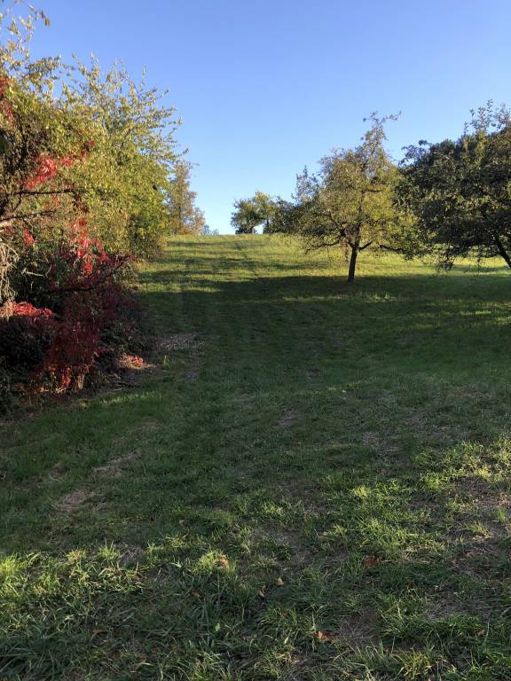 foto37