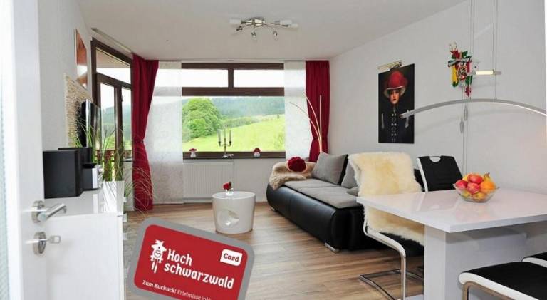 Apartment with pool | Pets are welcome in Schluchsee