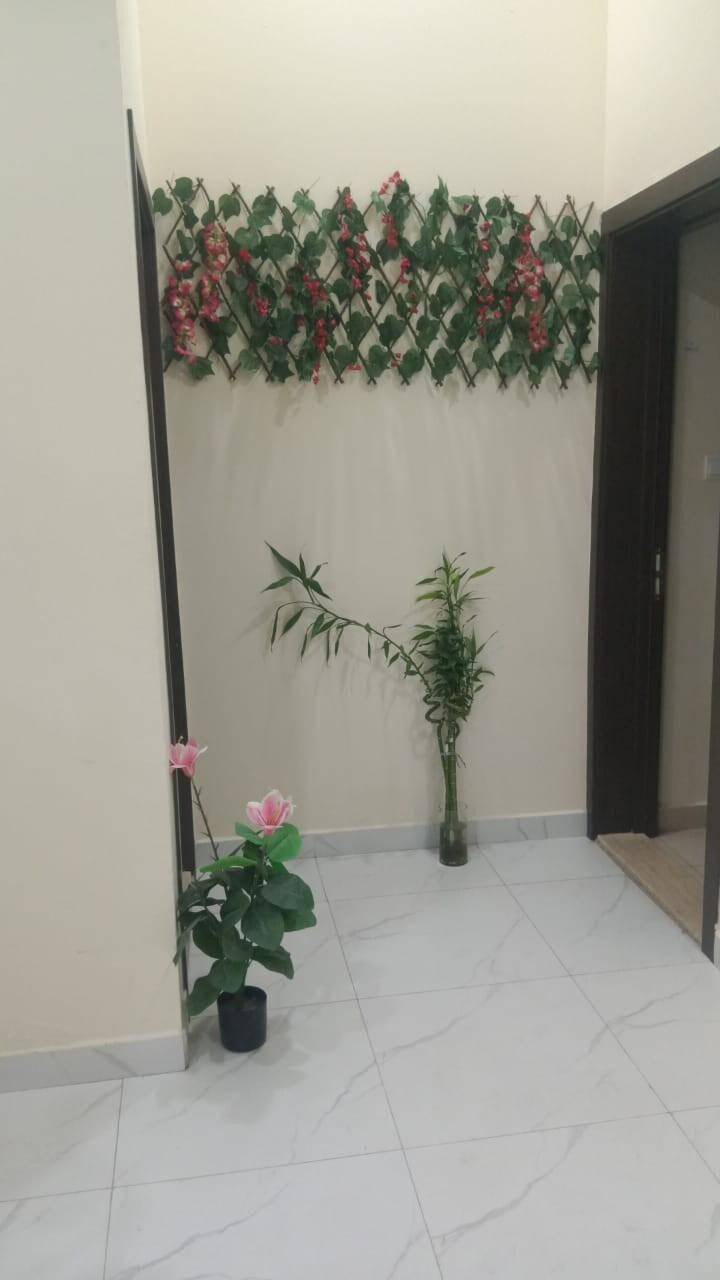 foto7