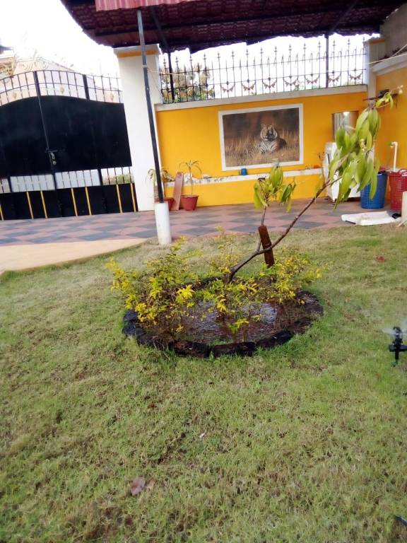 foto8