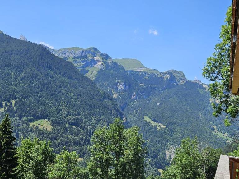 foto22