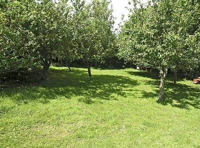 foto10