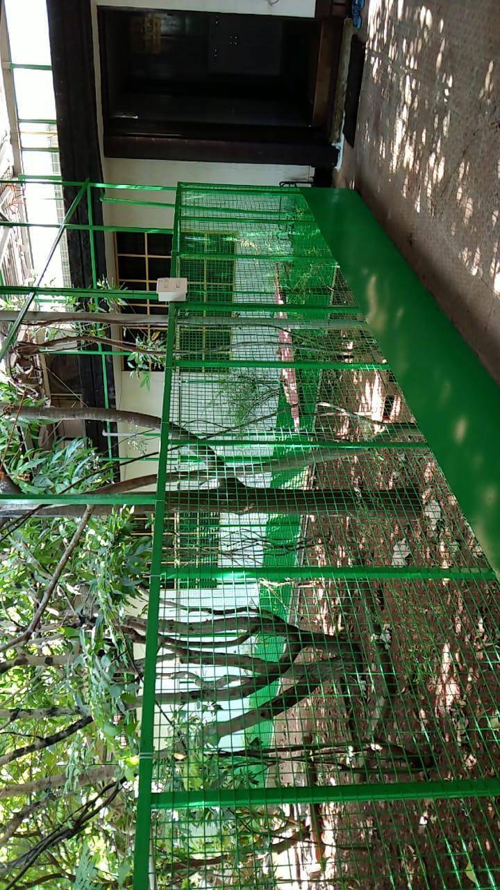 foto49