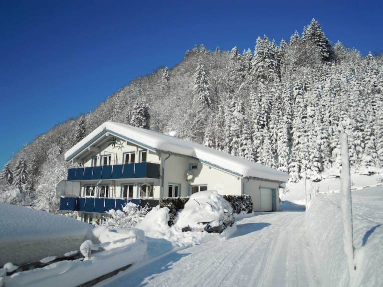 Ferienwohnung Silbertal