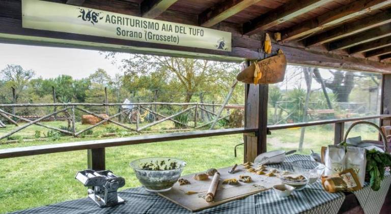 Farm with barbeque & garden | Pets are welcome — photo 5