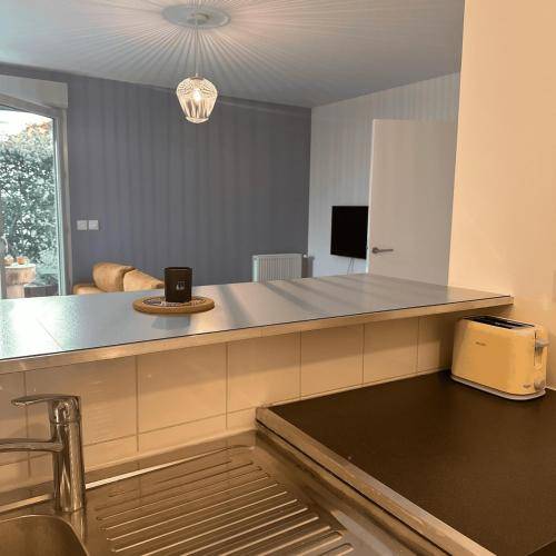 Appartement Tassin-la-Demi-Lune
