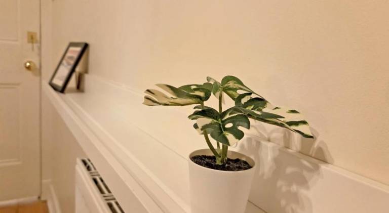 Lovely Immaculate Flat by Edinburgh Meadows — photo 4