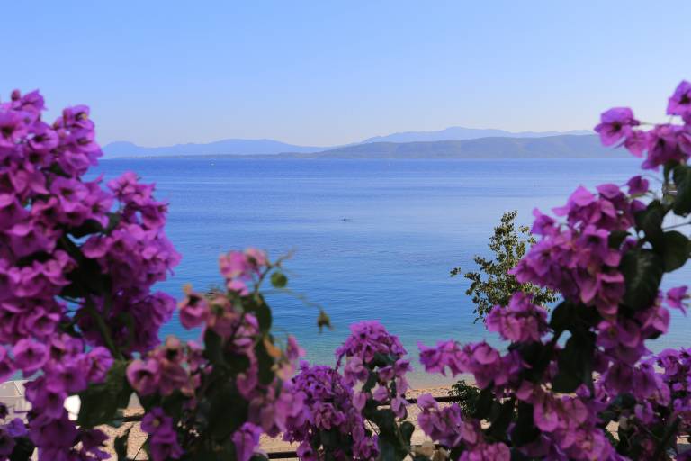 Apartman Igrane