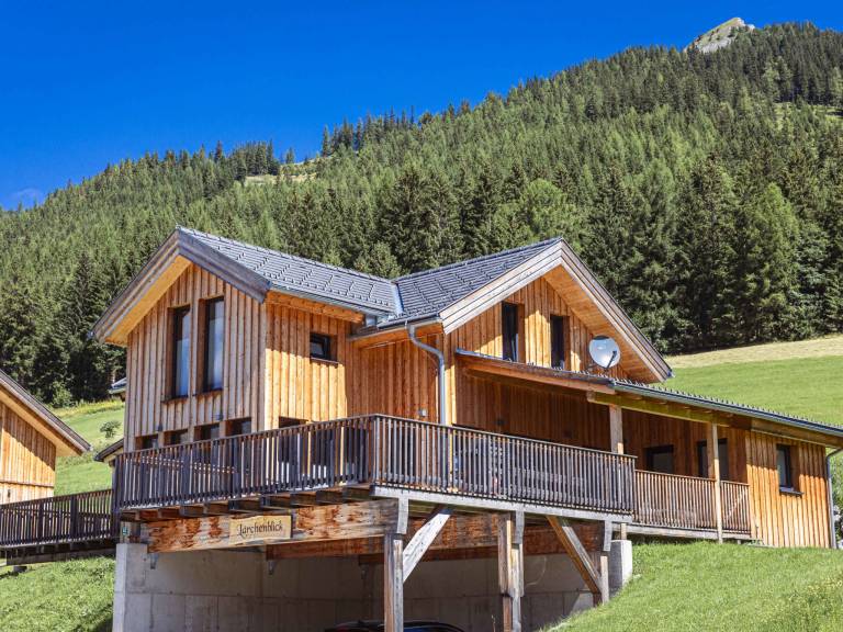 Ferienhaus Hohentauern