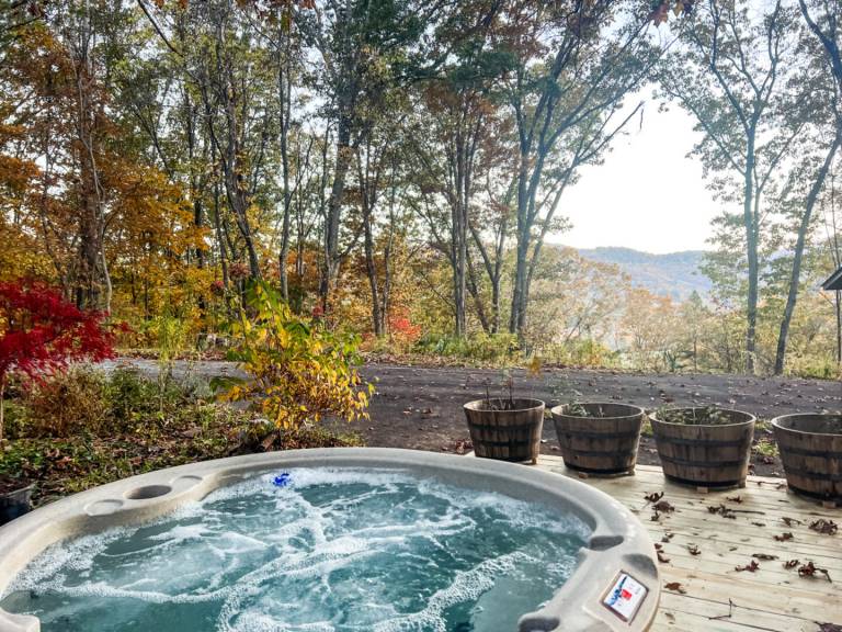 Fully equipped beautiful house with private pool | Pets allowed in Wayne, NC