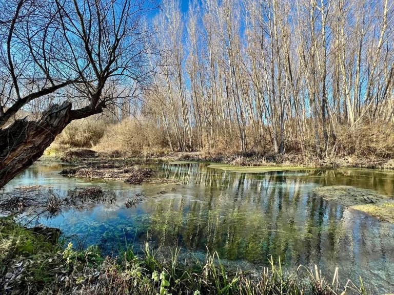 Bed & Breakfast Capestrano