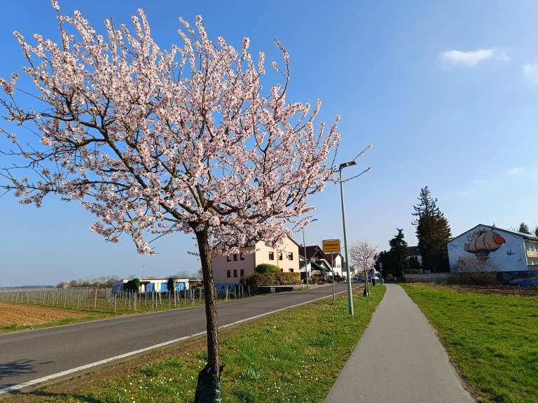foto14