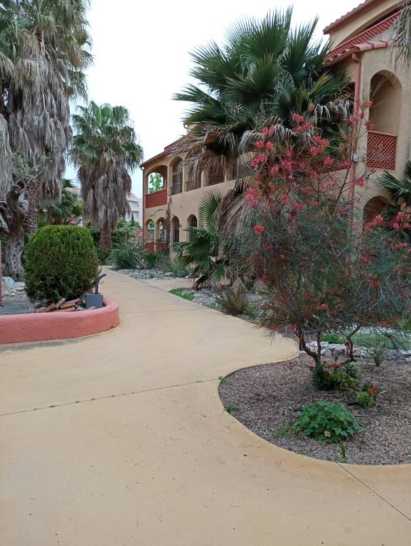 Fully equipped holiday park with garden & pool | Garden view | Pet-friendly in Canet-en-Roussillon