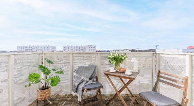 Holiday apartment | Dogs allowed — photo 3