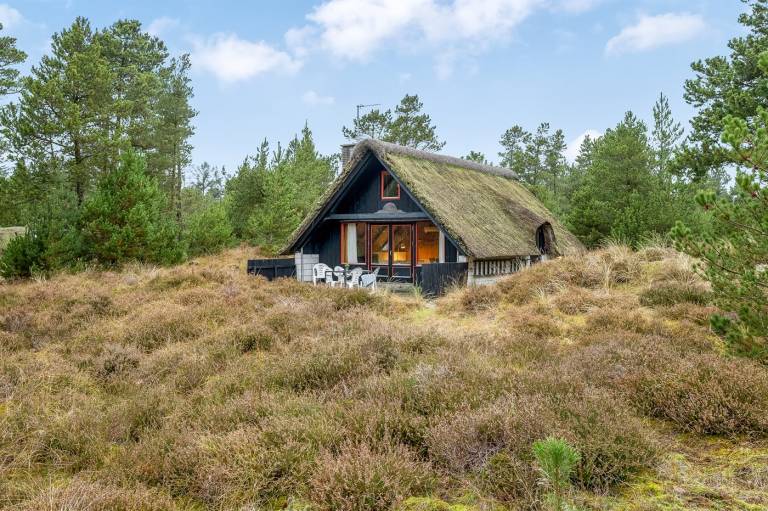 Ferienhaus  Blåvand