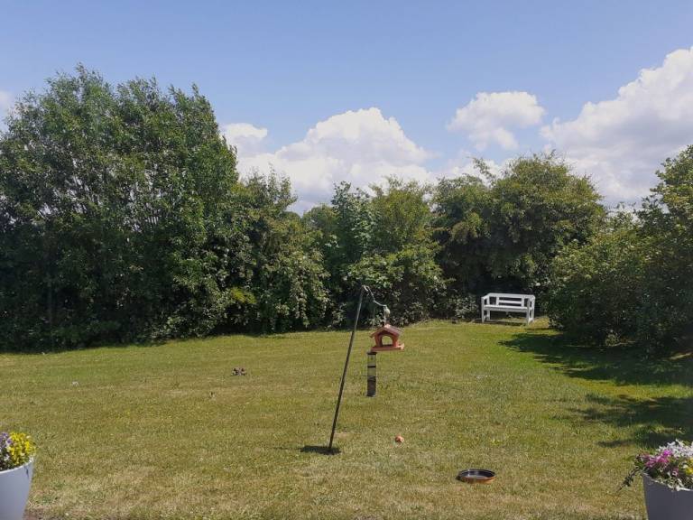 foto14